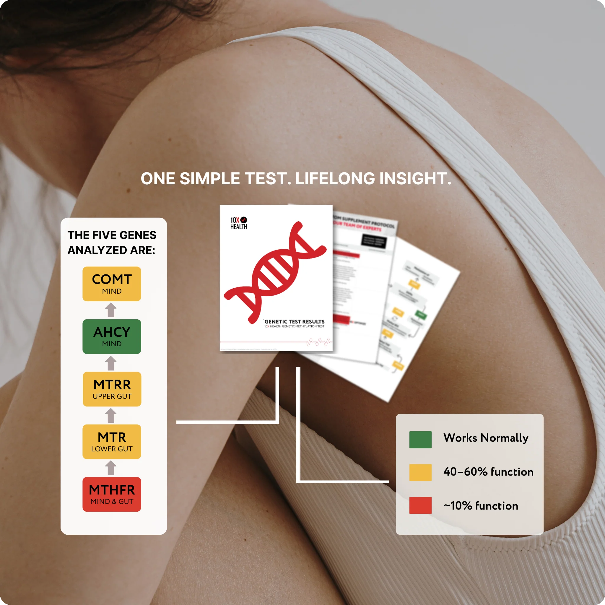 10X Methylation Genetic Test - Image 4