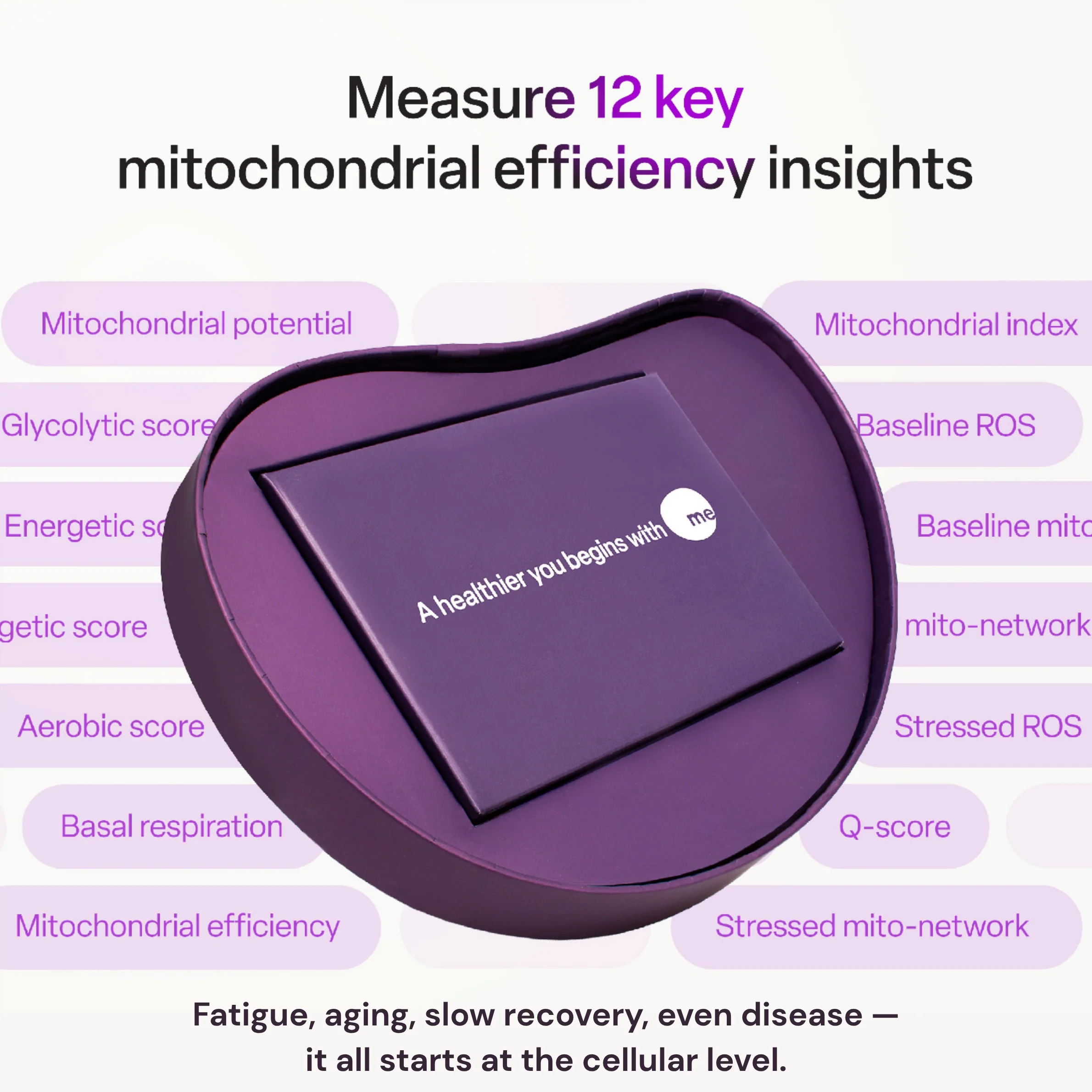 mescreen™ Mitochondrial Function Test + Healthcare Provider Consult - Image 3