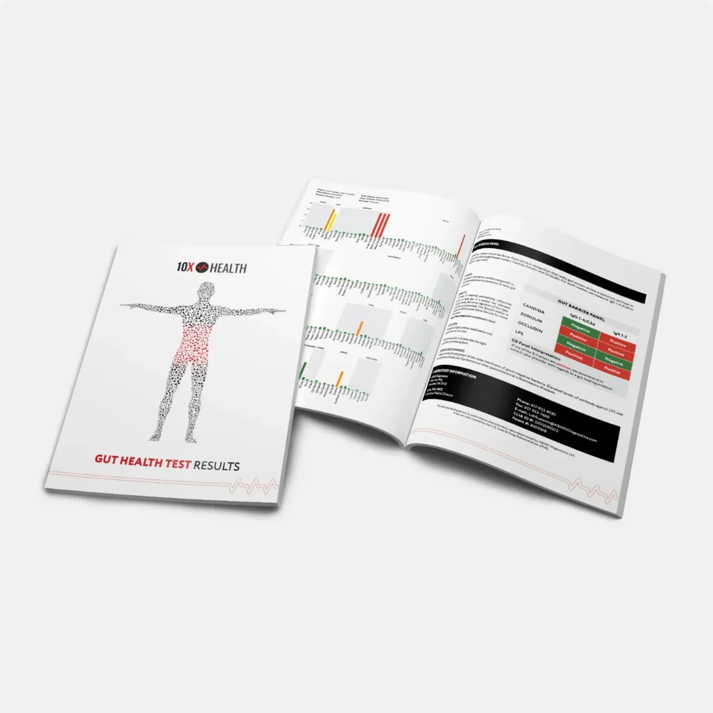 The 10X Gut Health Test - Image 4